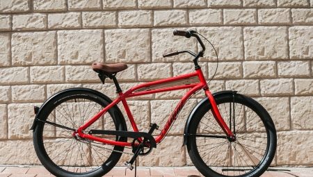 Formato de bicicletas: ventajas, desventajas y descripción general del modelo