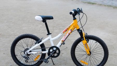 Stark bicikli: asortiman i savjeti za odabir
