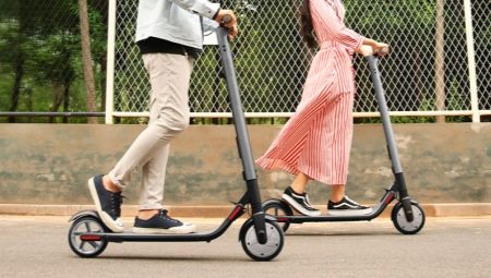 Todo sobre scooters eléctricos para adultos