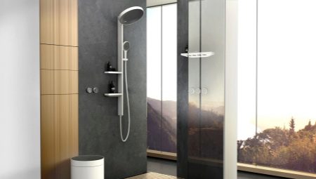 Iebūvētās dušas sistēmas: šķirnes, zīmoli, atlases noteikumi