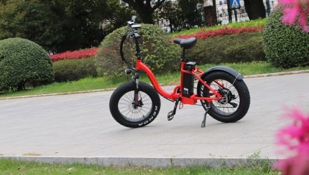 Elektrofahrräder für Kinder: Sorten, Marken, Auswahl, Nutzungsregeln