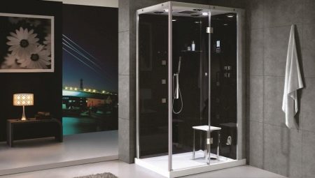Cabines de douche avec une palette basse: types, tailles et règles de sélection