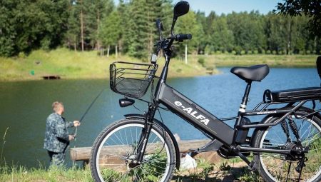 Elektromos kerékpárok: fajták, márkák, választék