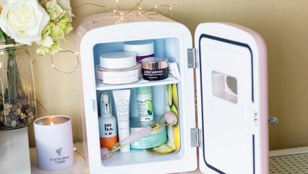 Refrigerator for cosmetics: an overview of models and features of choice