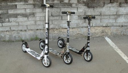 Funksjoner og utvalg av scootere Capella