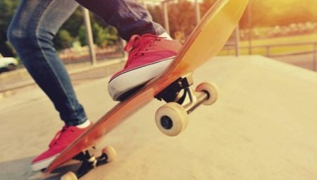 Skateboard rayap: berbagai model dan pilihan aksesori 