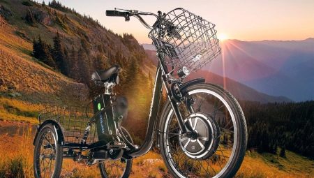 Električni tricikli: sorte, marke, izbor