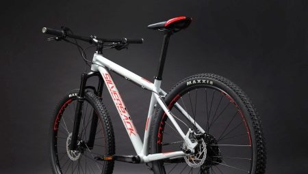 Xe đạp Silverback: ưu và nhược điểm, các loại, sự lựa chọn