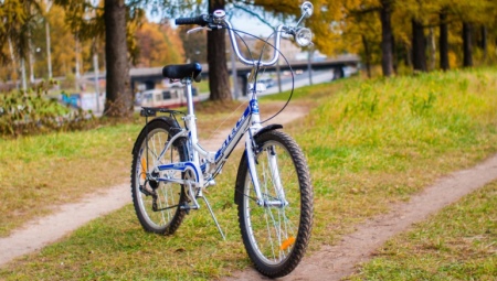 Stels xe đạp: ưu và nhược điểm, giống và mẹo chọn