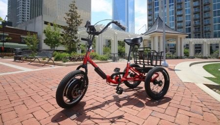 Električni tricikli za odrasle: značajke, marke, izbori, namjene