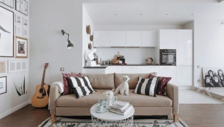 Beige sofaer i interiøret: funksjoner i fargekombinasjoner, stiler og valg