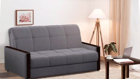 Acordió del sofà sobre un marc metàl·lic: característiques, varietats, pros i contres