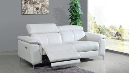 Kursi sofa: fitur, jenis, dan pilihan