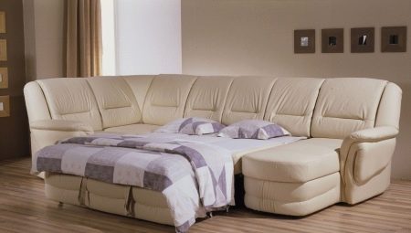Canapele cu dană mare: caracteristici, tipuri și opțiuni