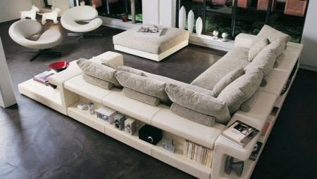 Καναπέδες με ράφια: τύποι, μεγέθη και μυστικά επιλογής