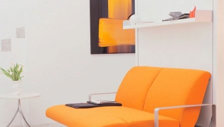 Mengubah sofa untuk apartemen kecil: ikhtisar model dan pilihan