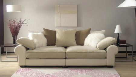 Sofa di interior: bagaimana memilih dan menempatkan?