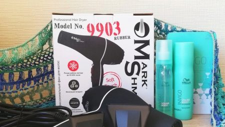 Mark Shmidt saç kurutma makineleri: en iyi modeller ve seçim için ipuçları