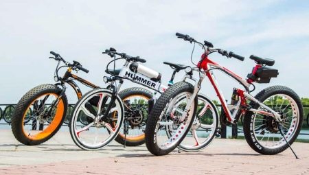 Las mejores bicicletas eléctricas: clasificación de los fabricantes y secretos de selección