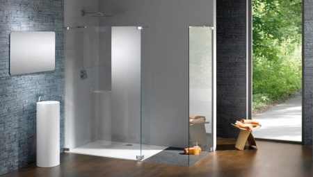 Stikla starpsienas dušai: šķirnes, izmēri un izvēle