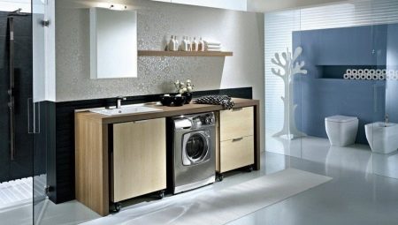เคาน์เตอร์ใต้อ่างล้างจานและเครื่องซักผ้า: ประเภทและทางเลือกในห้องน้ำ