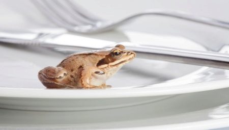 „Яж жаба“ в управлението на времето