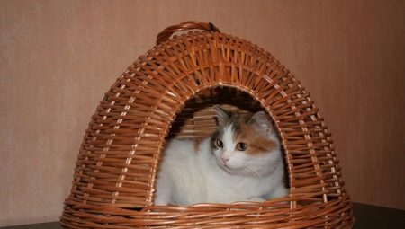 Țesând o casă de pisici din tuburi de ziar