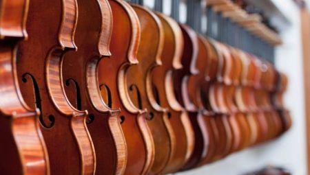 request lose yourself analysis Viori (43 de fotografii): câte coarde are un instrument muzical? Structură  și tipuri. Din ce sunt făcute și cum să alegi un pod și alte accesorii? Ce  este și cum arată?