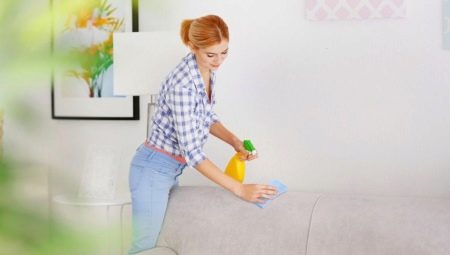 التنظيف الجاف للأريكة بيديك في المنزل