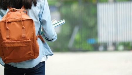 Revisión de mochilas para estudiantes