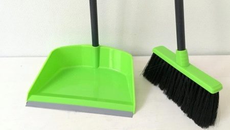 Metla i lopatica: opcije kompleta za čišćenje
