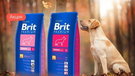 Pelbagai makanan Brit untuk anjing baka besar
