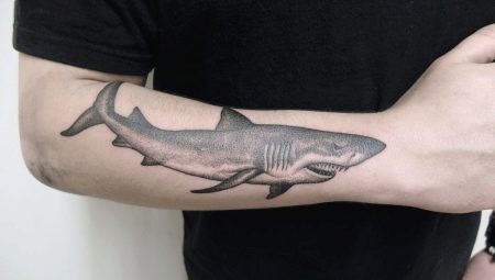 Que signifient les tatouages ​​​​de requin et que peuvent-ils être?