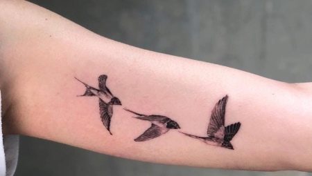What do swallow tattoos mean and what are they like?