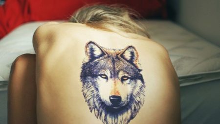 What do wolf tattoos mean and where is it better to fill them?