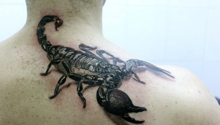 Hình xăm bọ cạp (69 ảnh): ý nghĩa và phác thảo. Hình xăm trên cánh tay và  vai, trên cổ và trên ngực, hình vẽ trên xương bả vai, trên chân và
