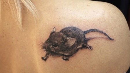 Čo znamenajú tetovania potkanov a kde ich aplikovať?