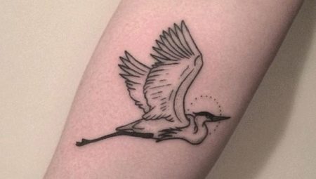Ko nozīmē tetovējums Crane un kādi tie ir?
