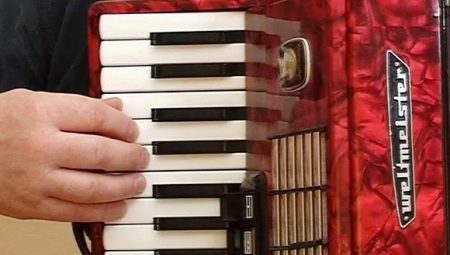 linear Commercial Hypocrite Cântarea la acordeon: cum să înveți să cânți pentru începători de la zero  pe cont propriu și la școală? Exerciții