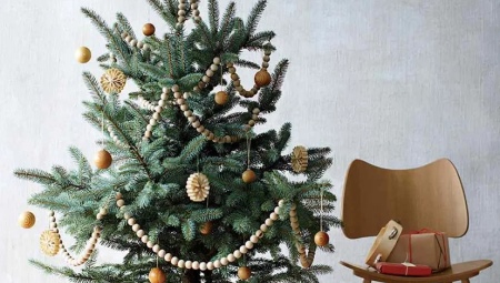 Làm thế nào để trang trí một cây thông Noel sống?