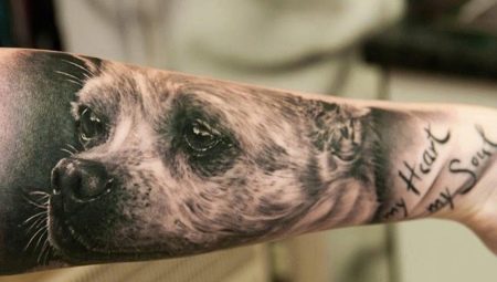 Czym są tatuaże dla psów i gdzie je zdobyć?