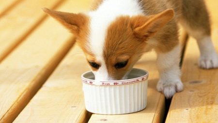 อาหารสุนัขบริต