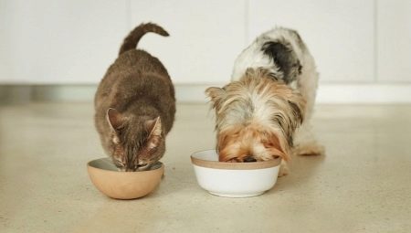 Krmivo Animonda pro kočky a psy