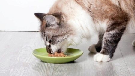 Thức ăn cho mèo ProBalance