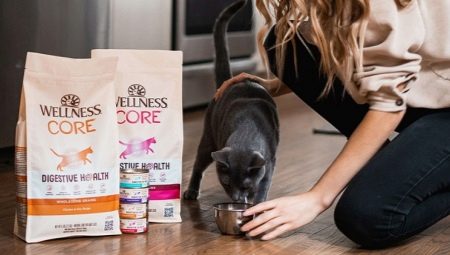 Wellness CORE hrana za mačke