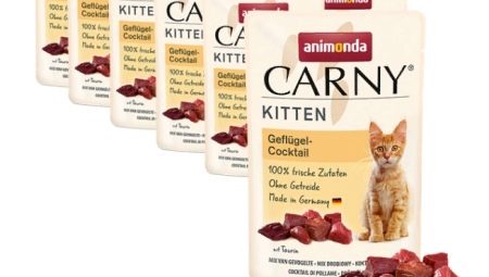Krmivo pro koťata Animonda
