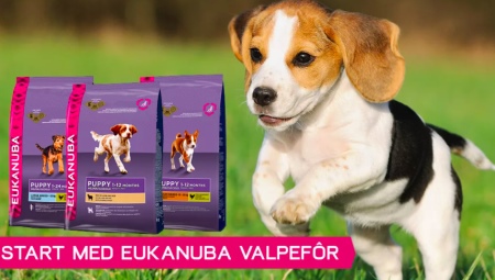 Karma dla psów Eukanuba