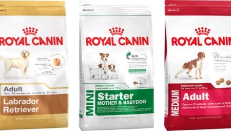 ROYAL CANIN dog food