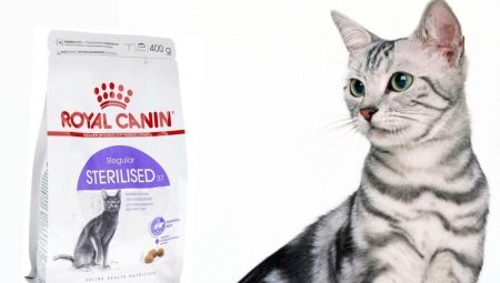 ROYAL CANIN Futter für kastrierte Katzen und kastrierte Katzen
