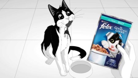 Makanan kucing Felix